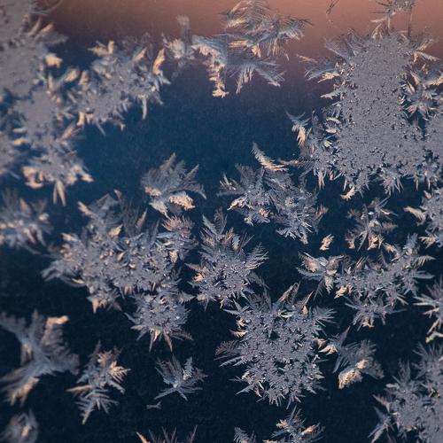 Morning ice on the window