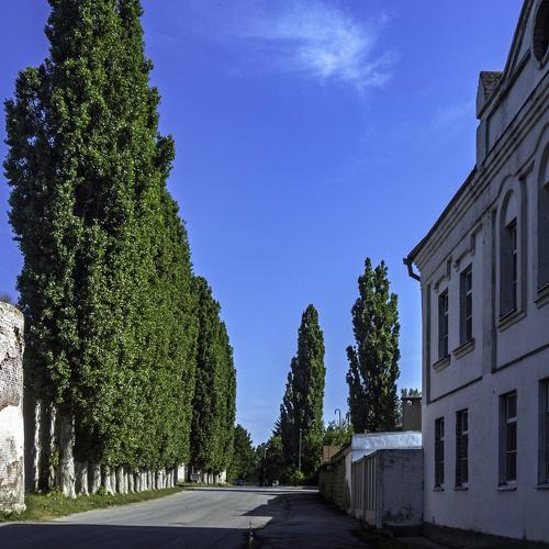 Photo #4032139