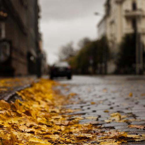 Photo #4032176