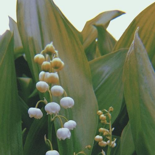Photo #4032340
