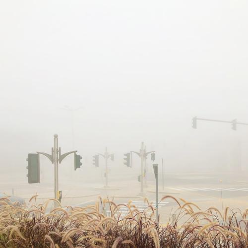 Photo #4032513