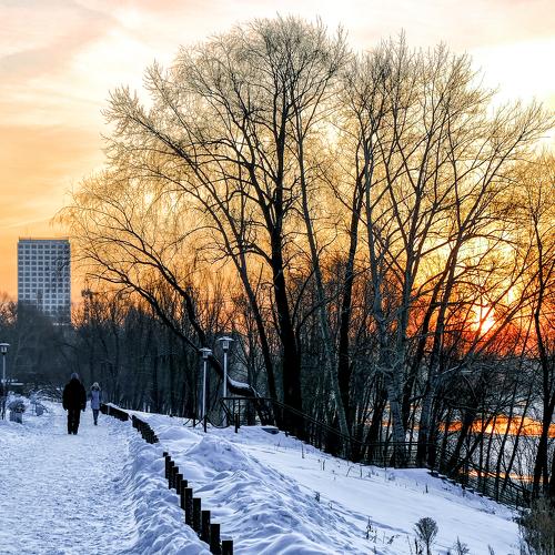 Холодное утро
