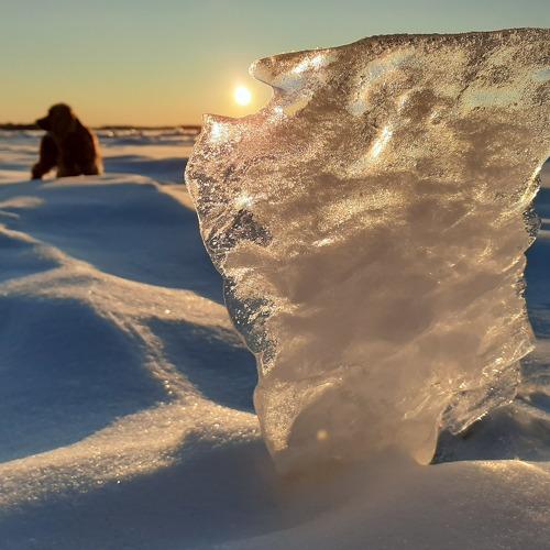Photo #4033188