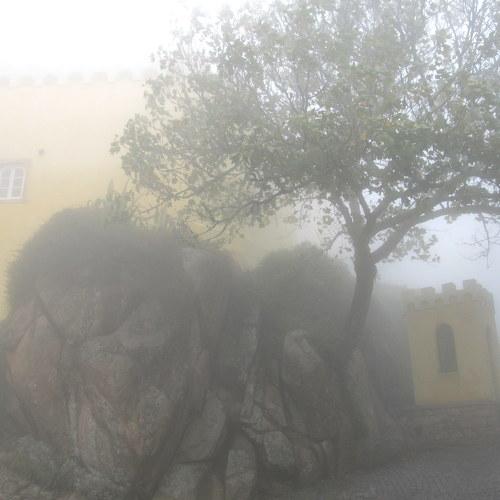 Photo #4033640