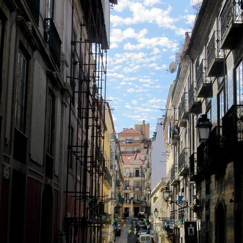 Photo #4033649