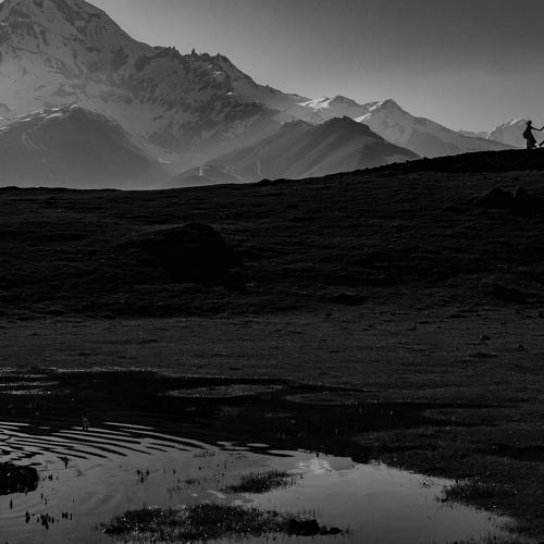 Photo #4033748