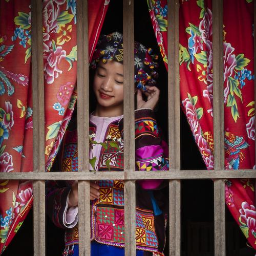 Photo #4034017
