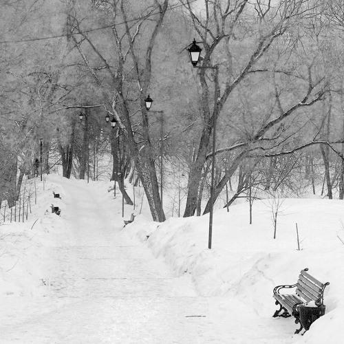 Photo #4034034