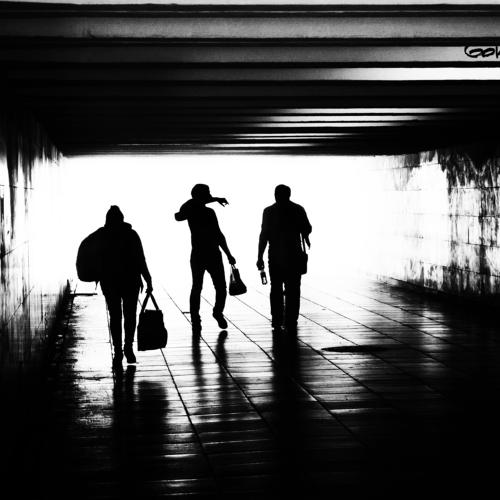 Photo #4034188