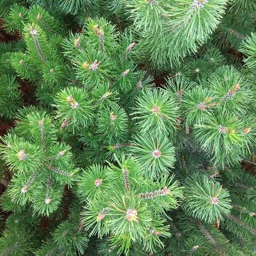 Photo #4034339