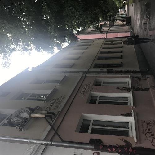 Photo #4034642