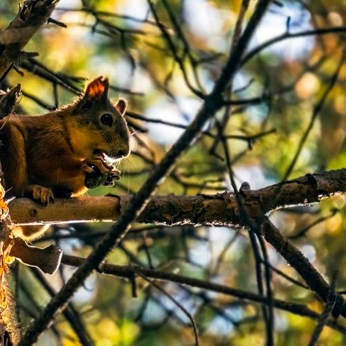 Photo #4035127