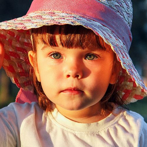 Photo #4035191