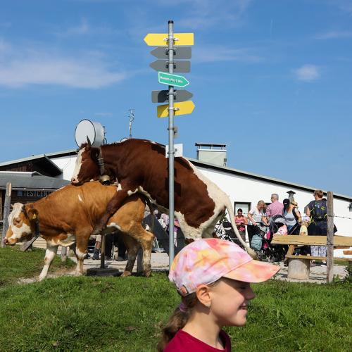 Photo #4035435