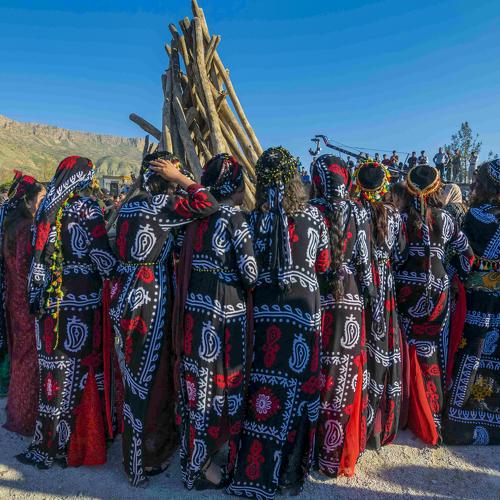 Photo #4035485