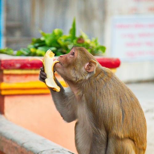 Photo #4035656