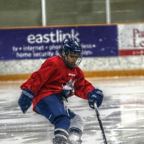 Photo #4035690