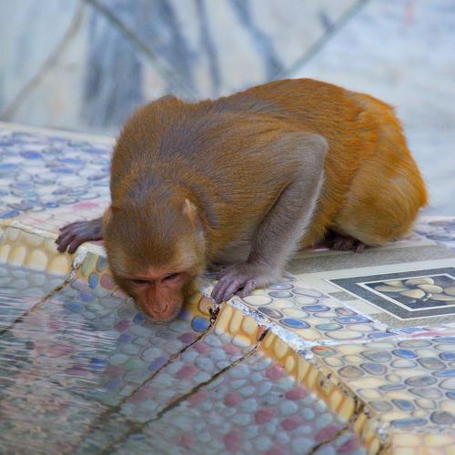 Photo #4035779
