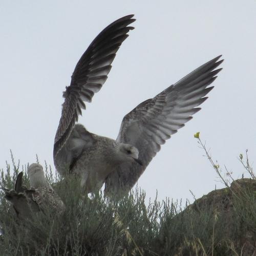 Photo #4036122