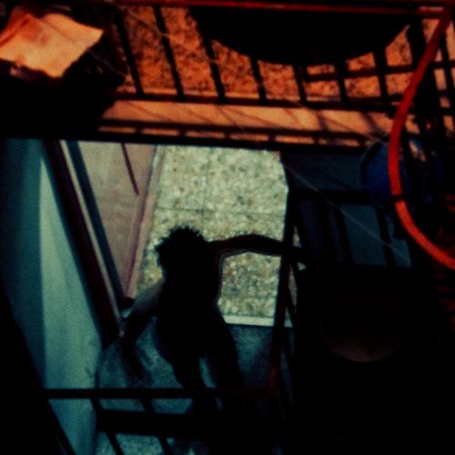 Photo #4036319