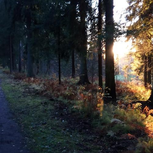 Photo #4036473
