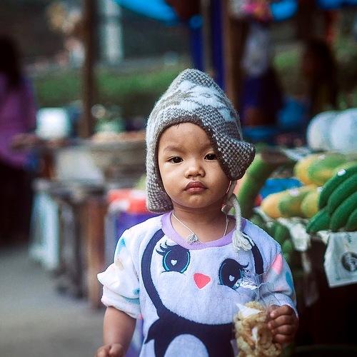 Photo #4036492