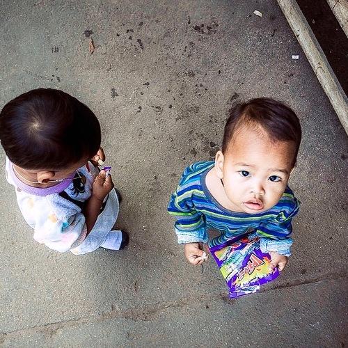 Photo #4036504