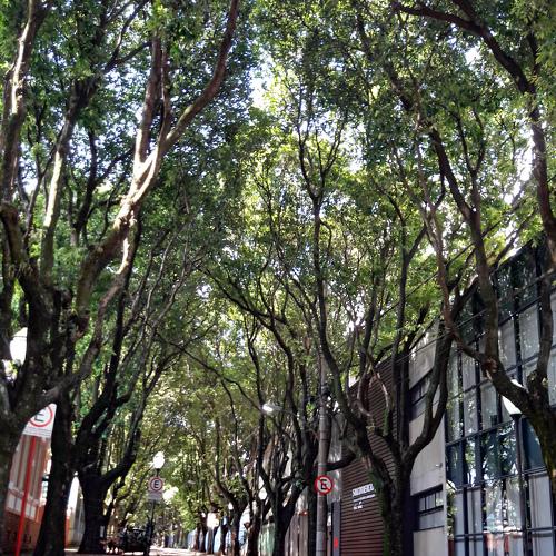 Photo #4036645