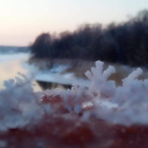 Photo #4036721