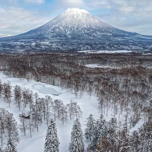 Photo #4036752