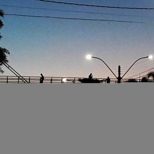 Photo #4036849