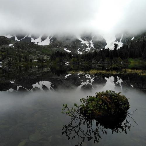 Photo #4036972