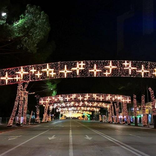 Photo #4037284