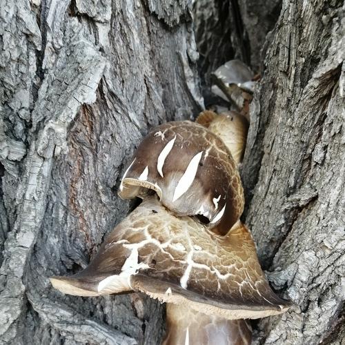 Photo #4037584