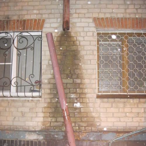 Photo #4037622