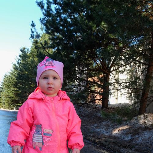 Photo #4038217