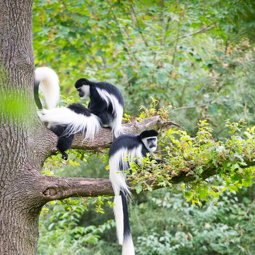 Photo #4038234