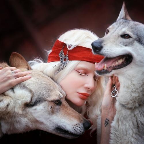 Photo #4038377