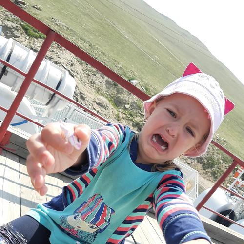 Photo #4038418