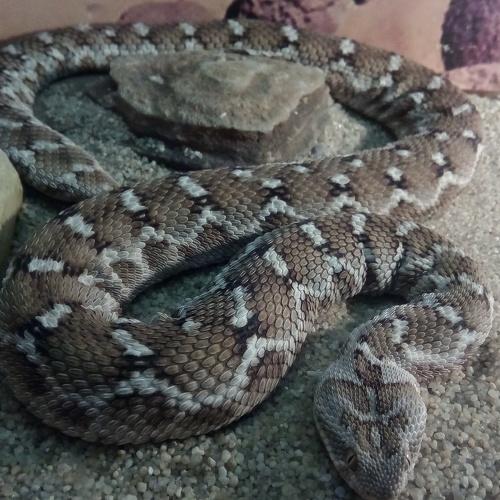 Photo #4038690