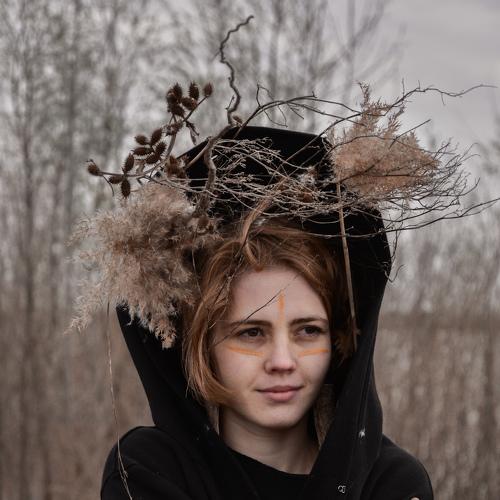 Photo #4038715