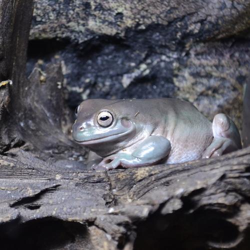 Photo #4038732