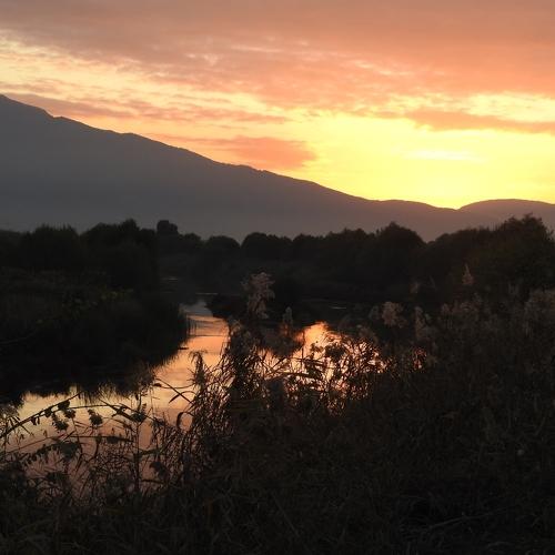 Photo #4038795