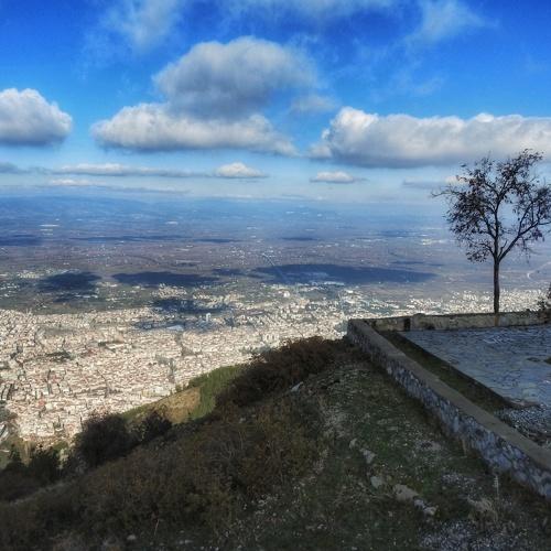 Photo #4038800