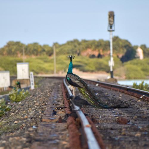 Photo #4038863