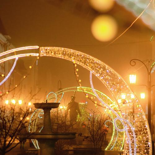 Photo #4039196