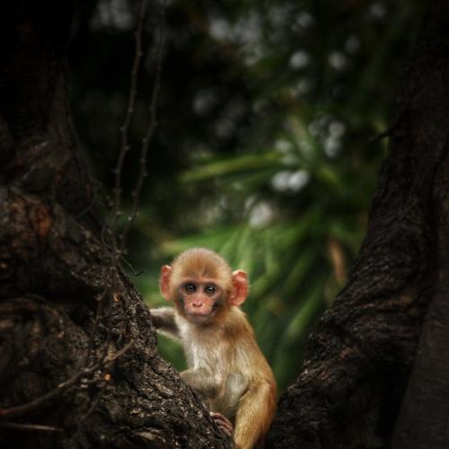 Photo #4039457