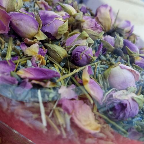 Photo #4039462
