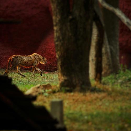 Photo #4039524