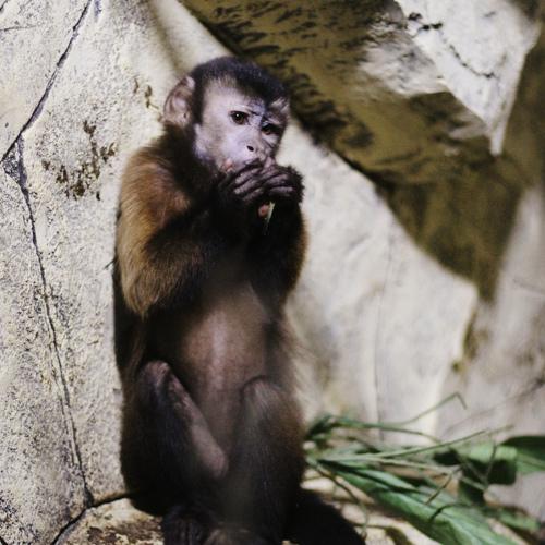 Photo #4040120